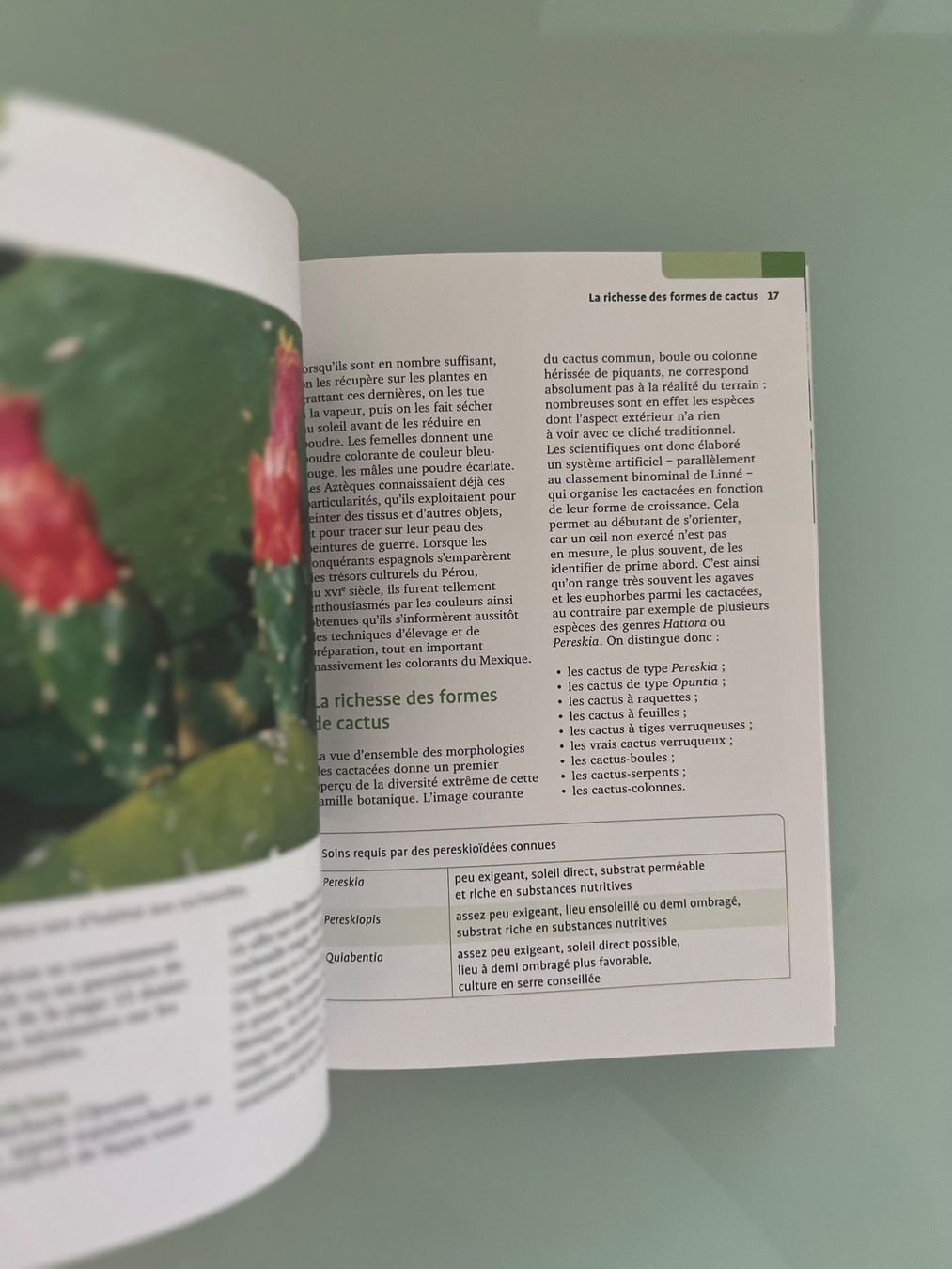 Libri: Guide Delachaux Cactus – Usato da Renens VD venduto da ale_q6bz 7