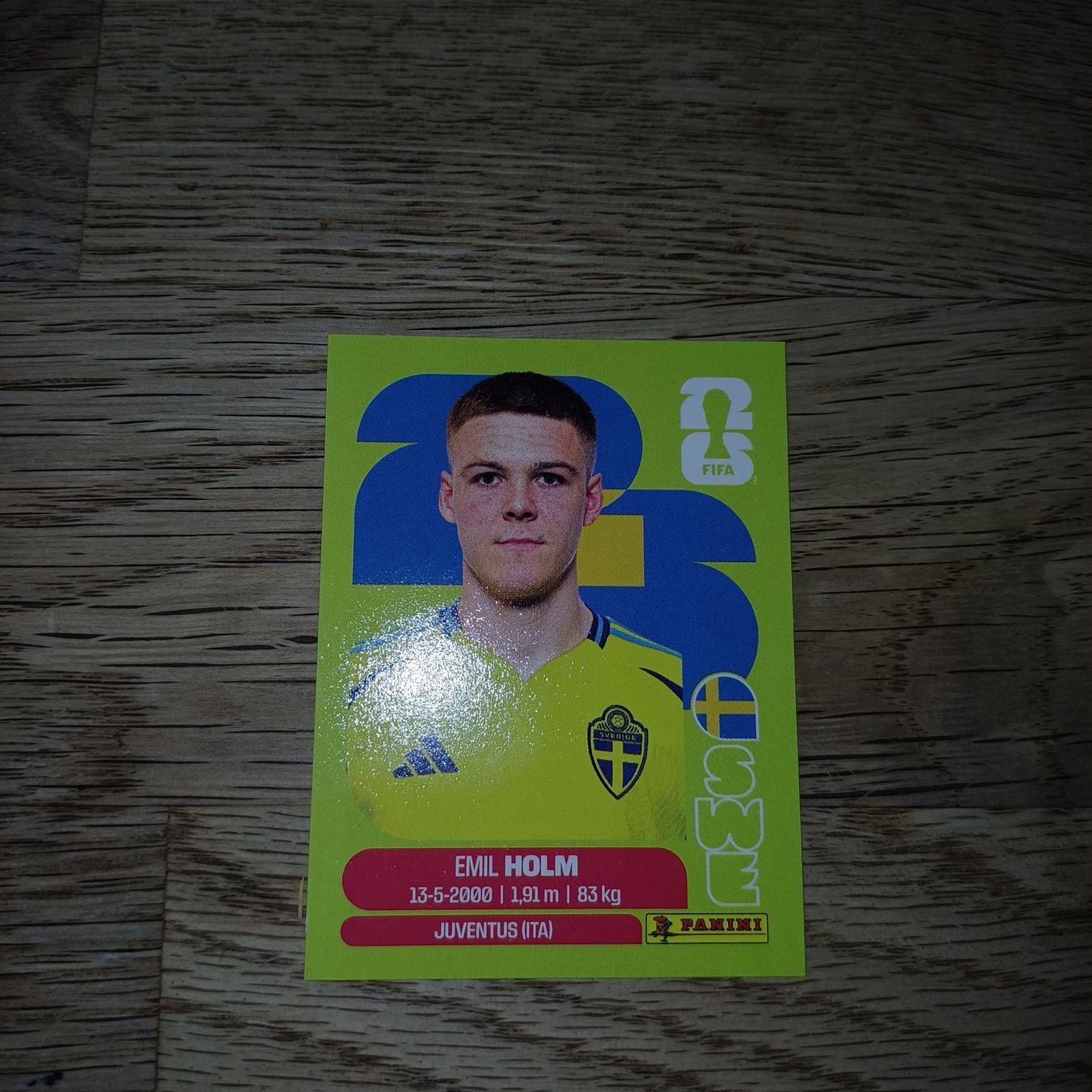 Panini Carte collezionabili: Panini – Usato da Aedermannsdorf venduto da holzkaefer