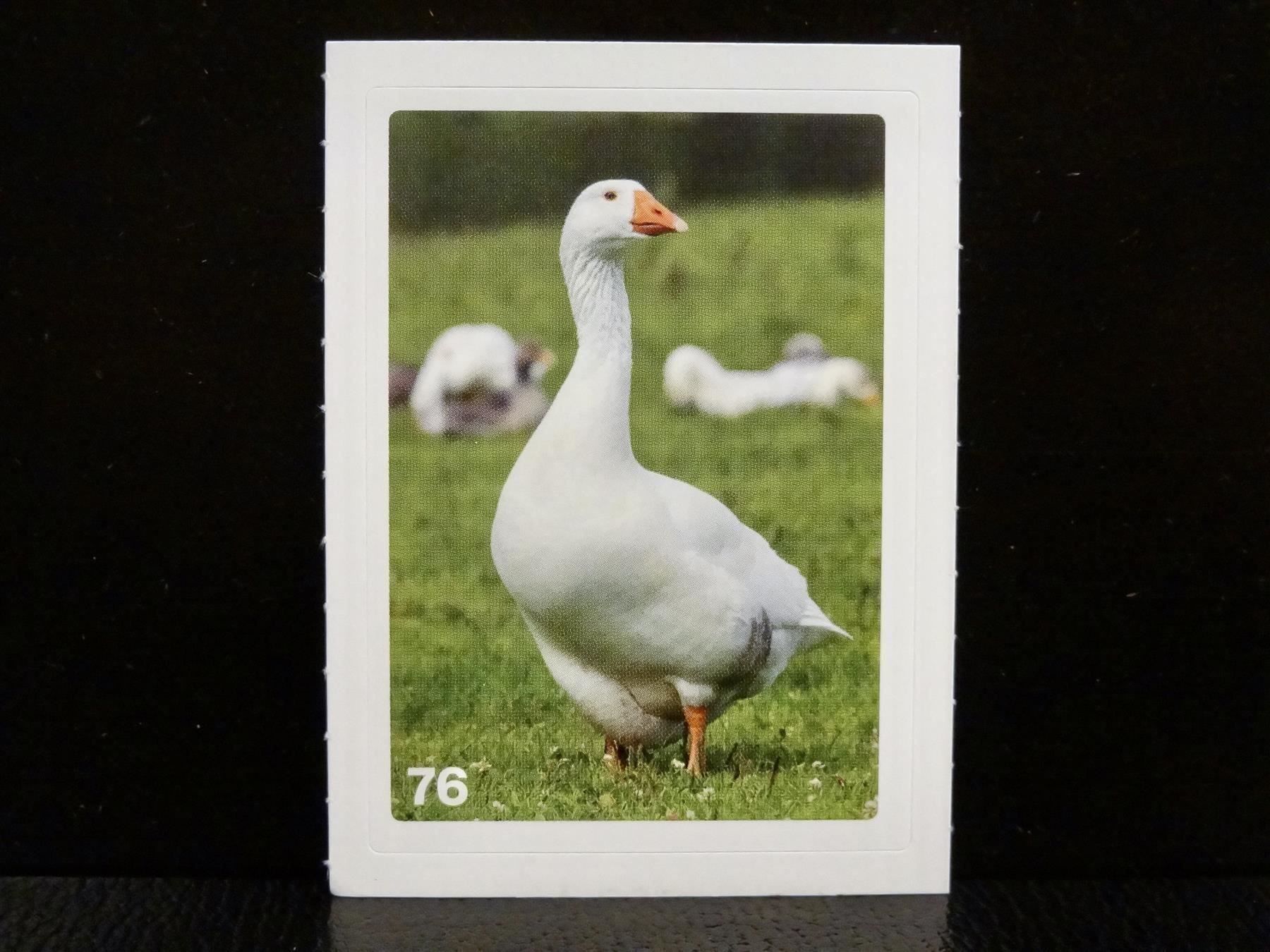 Migros Sammelbilder & Trading cards: MIGROS MANIA Nature Detectives Nr. 76 – Neu und originalverpackt aus Kerzers von zimmergruen