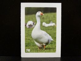 MIGROS MANIA Nature Detectives Nr. 76