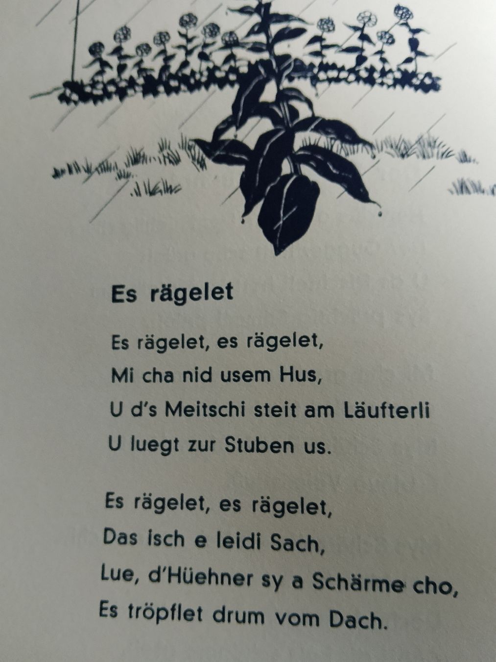 Libri: Usem Chinderland – Usato da Volken venduto da katz5 5