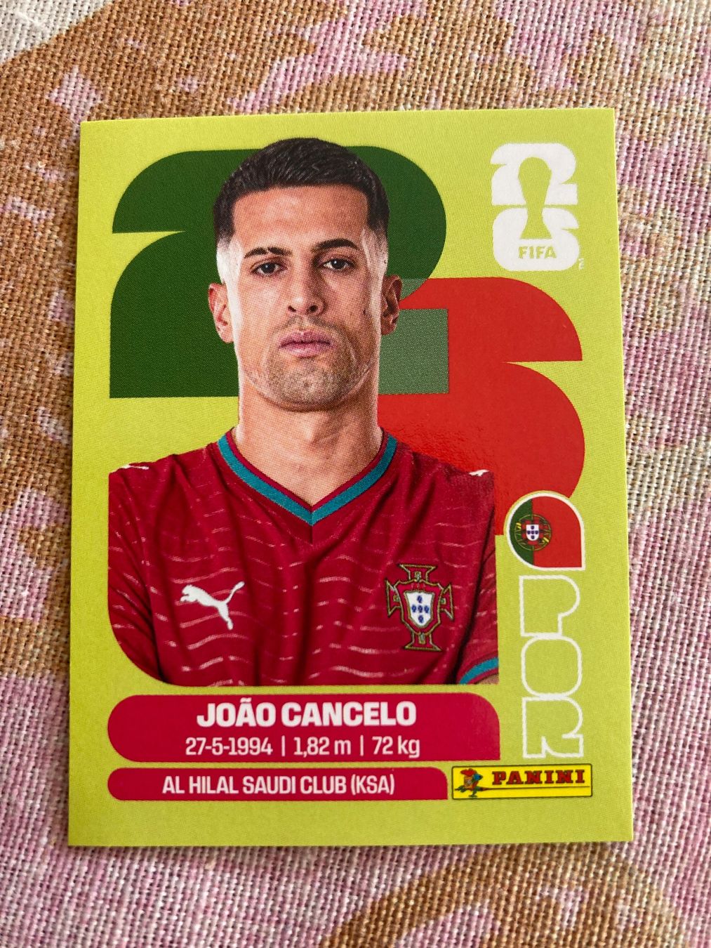 Panini Carte collezionabili: WM Sticker POR 5 – Nuovo (secondo la descrizione) da Winterthur venduto da Whitefish
