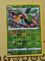 Brilliant Stars - Tropius 005/172 IT