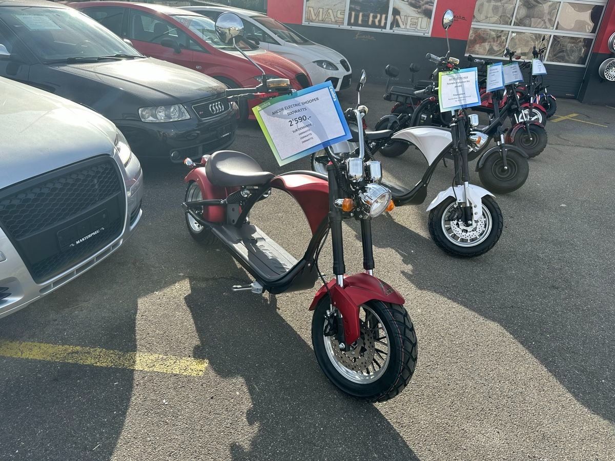 Citycoco Scooter: Scooter eléctrique 500w – Nuovo (secondo la descrizione) da Courrendlin venduto da shopwheels 2