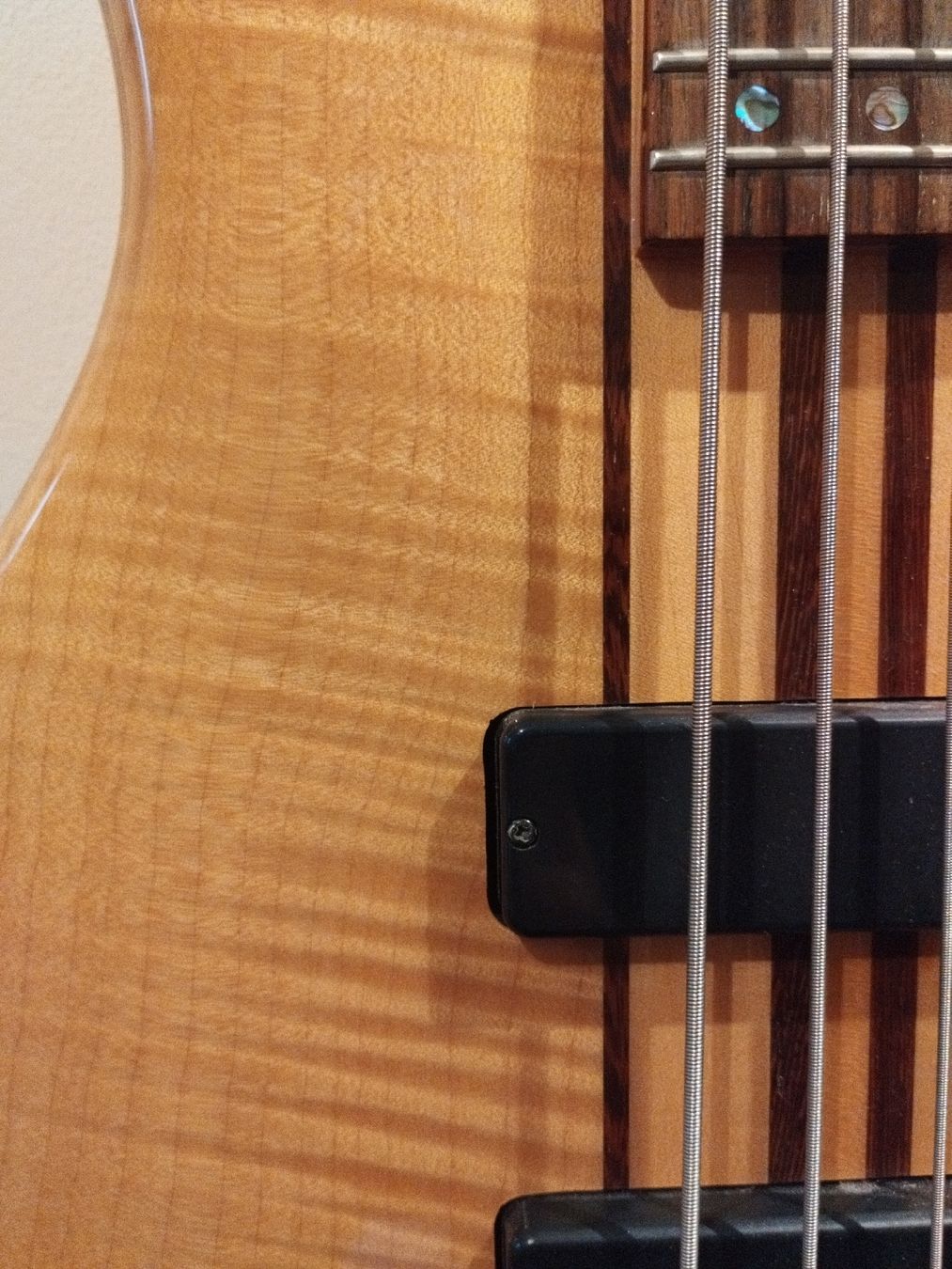 Cort Strumenti musicali: E-Bass Cort A4 – Difettoso da Schaffhausen venduto da claki0 3