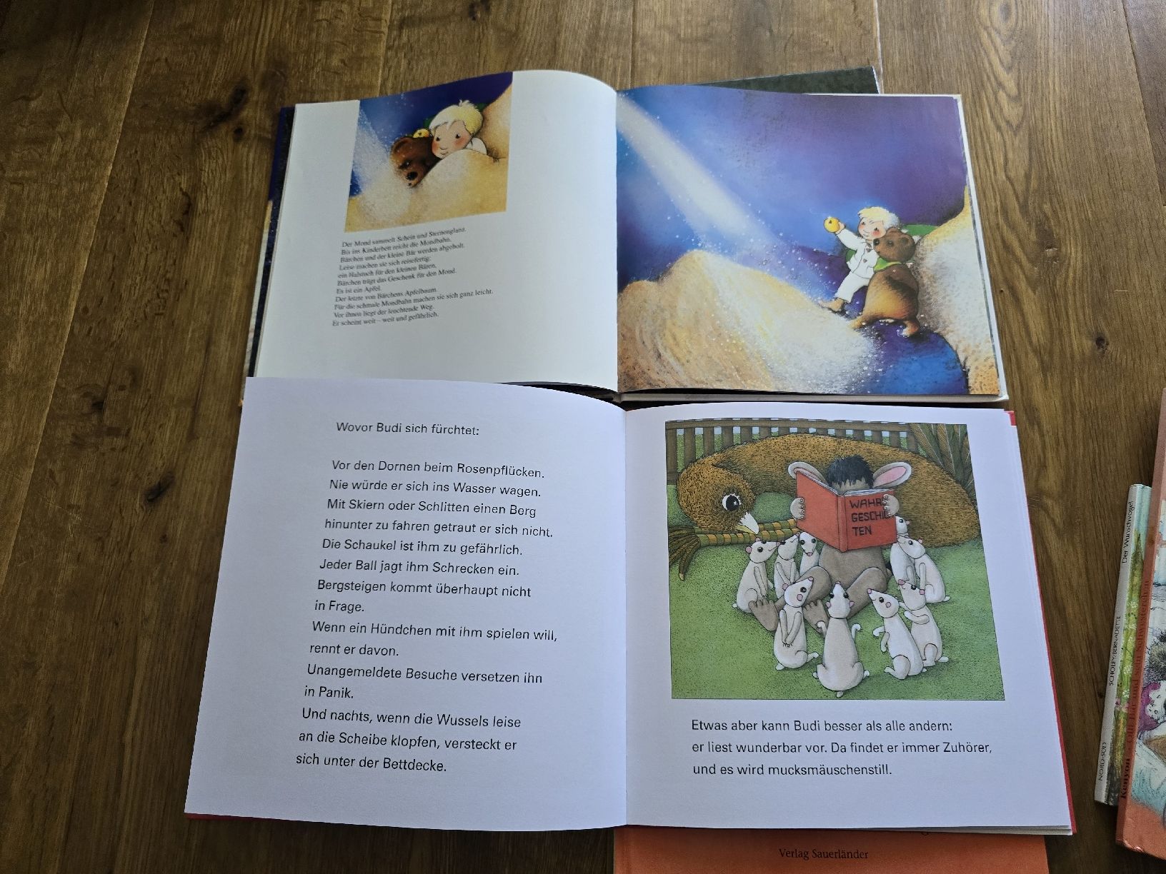 Libri: bücher für kinder – Usato da Wittenbach venduto da Tigerlili 3
