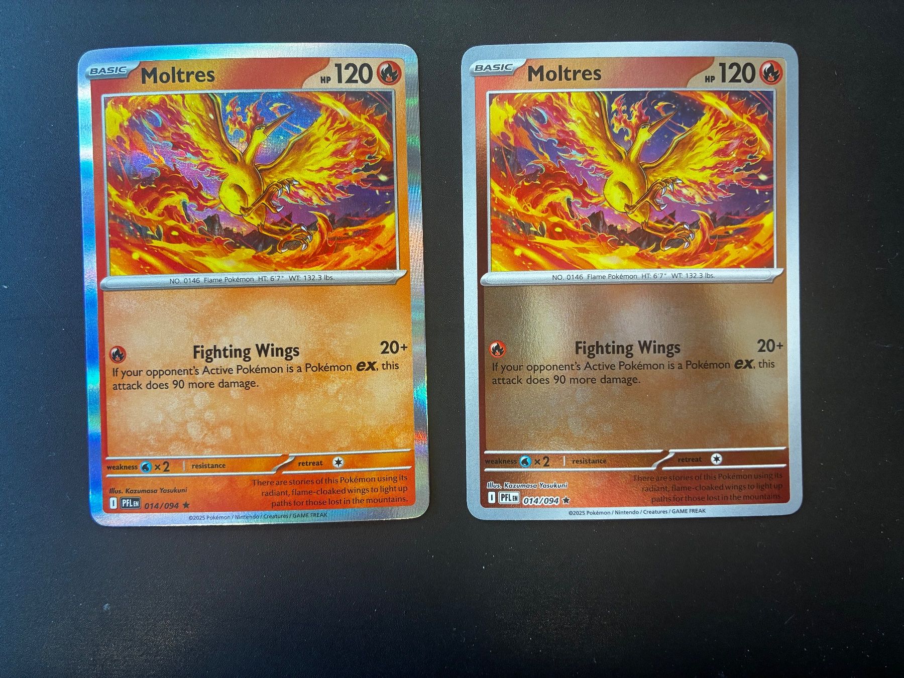 Pokémon Carte collezionabili: Sammlung Moltres EX- Reverse Holo & Holo - en&jp – Nuovo (secondo la descrizione) da Hütten venduto da yve_tf69 4