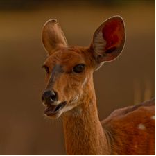 Profile image of hrs3432