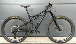 Specialized S-WORKS Enduro FSR 29 Carbon XX1 12-Fach Fully