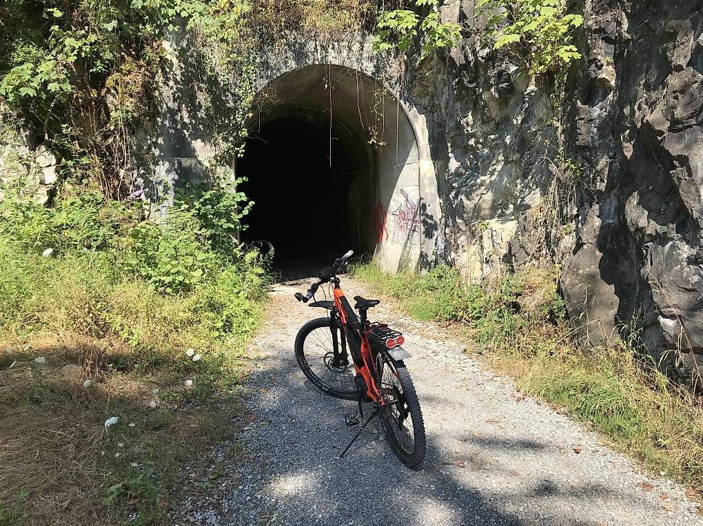 Biciclette: E-Bike TREK Powerfly 7 – Usato da Emmenbrücke venduto da KURT031 1