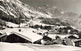 Wengen mit Jungfrau
