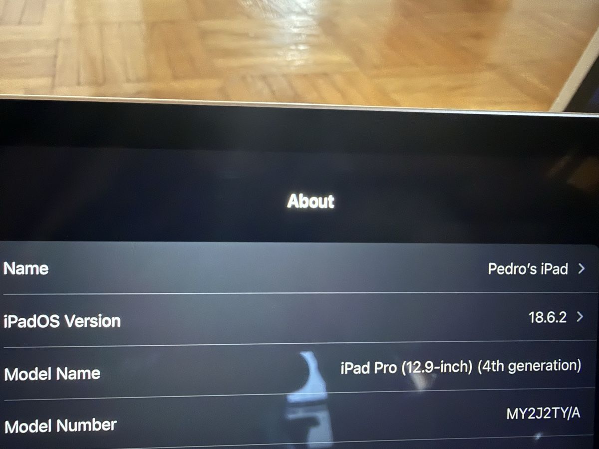 Apple Tablet PC: Pristine iPad Pro 12.9" 2020 (4th Gen) - Great Condition – Usato da Hedingen venduto da pmf_d6x5 5