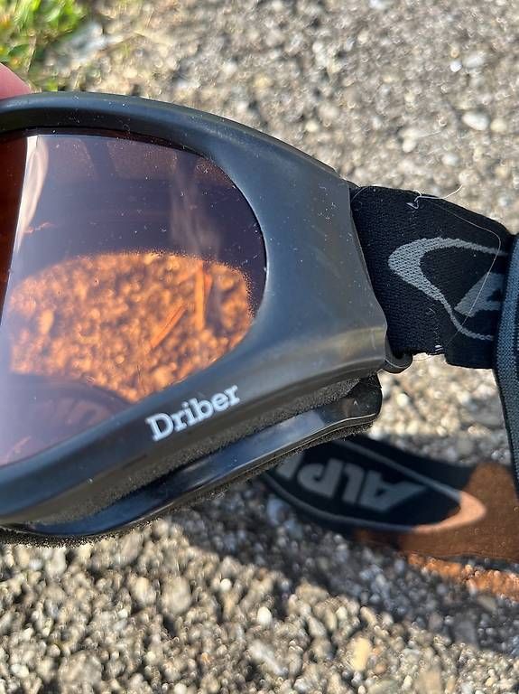 Brillen & Gläser: Kinderskibrille Alpina Driber – Gebraucht aus Bellikon von Ndorfer 2