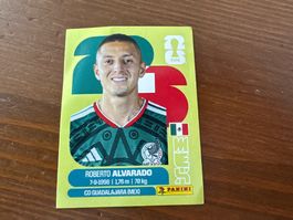 Panini MEX 19 FIFA World Cup 2026