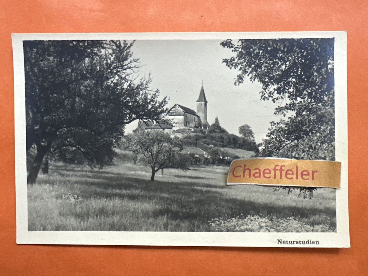 Ansichtskarten: 4 Büssingen, Kirche, Schaffhausen, Naturstudie – Gebraucht aus Zürich von Chaeffeler