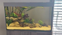 Aquarium mit Unterschrank 110l