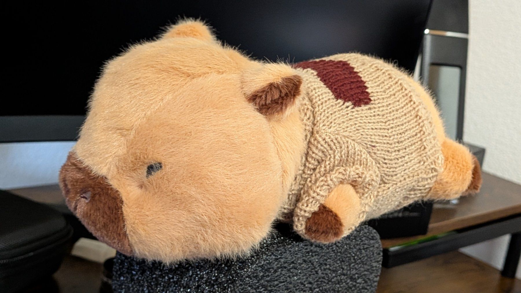 Giocattoli: Capybara Plüschtier mit Pullover  ++ neu und unbenutzt ++ – Nuovo e nell'imballaggio originale da Salez venduto da EMERCARO