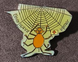 CC793 - Pin Spinnennetz Spinne / Einer spint immer!