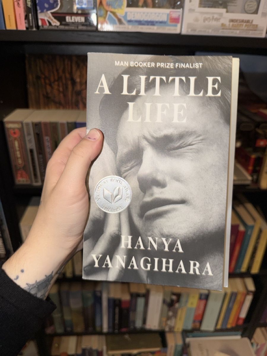Bücher: Book a little life – Neu (gemäss Beschreibung) aus Romanshorn von ros_f6qg