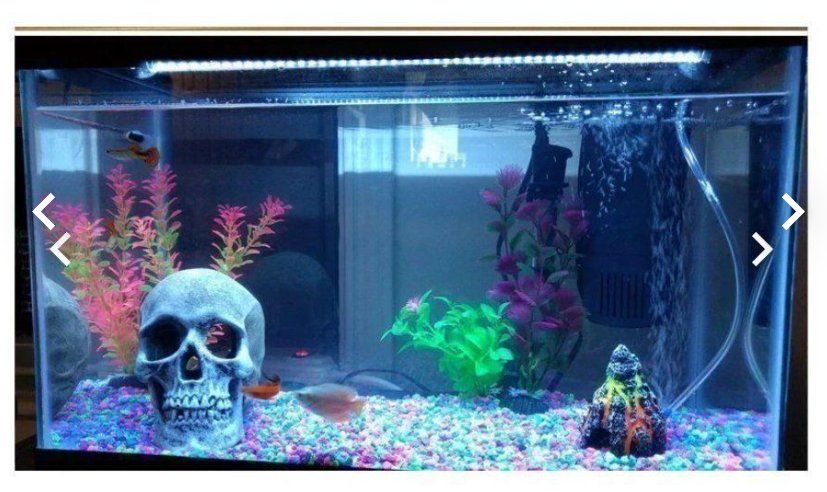 Lampade: LED Aquarium Beleuchtung – Nuovo e nell'imballaggio originale da Amriswil venduto da Ravinvida 3