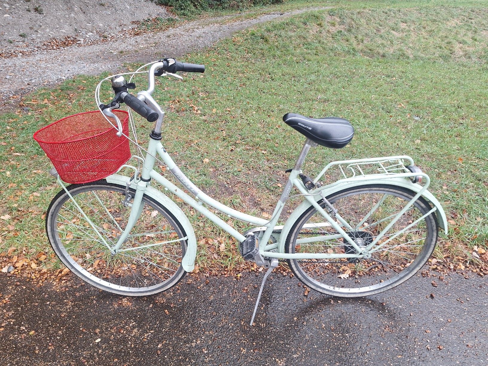Biciclette: Damenvelo – Usato da Tamins venduto da VW99 1