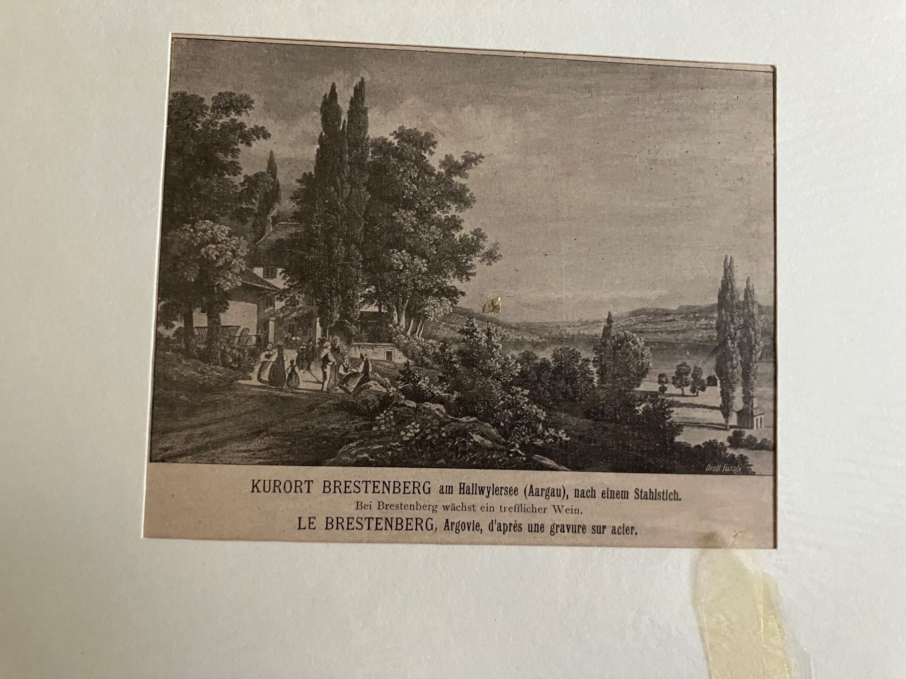 Incisioni: Alte Stiche Grafiken, Bern, Aargau – Usato da Schlieren venduto da mvm01 2
