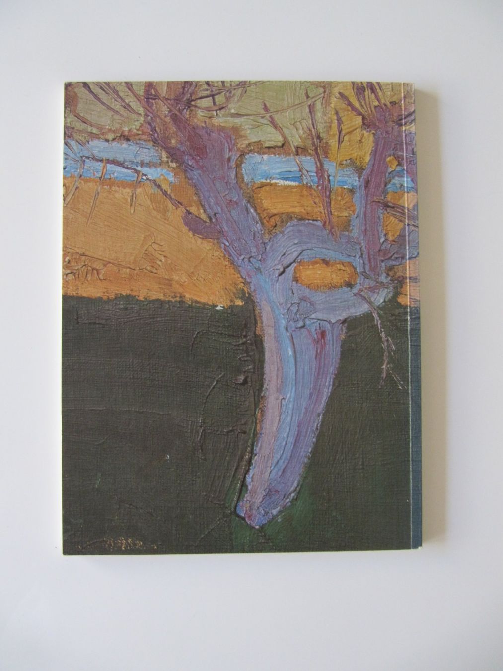 Libri: Kunstmuseum Solothurn Triumph der Farben – Usato da Basel venduto da Kuba2 2