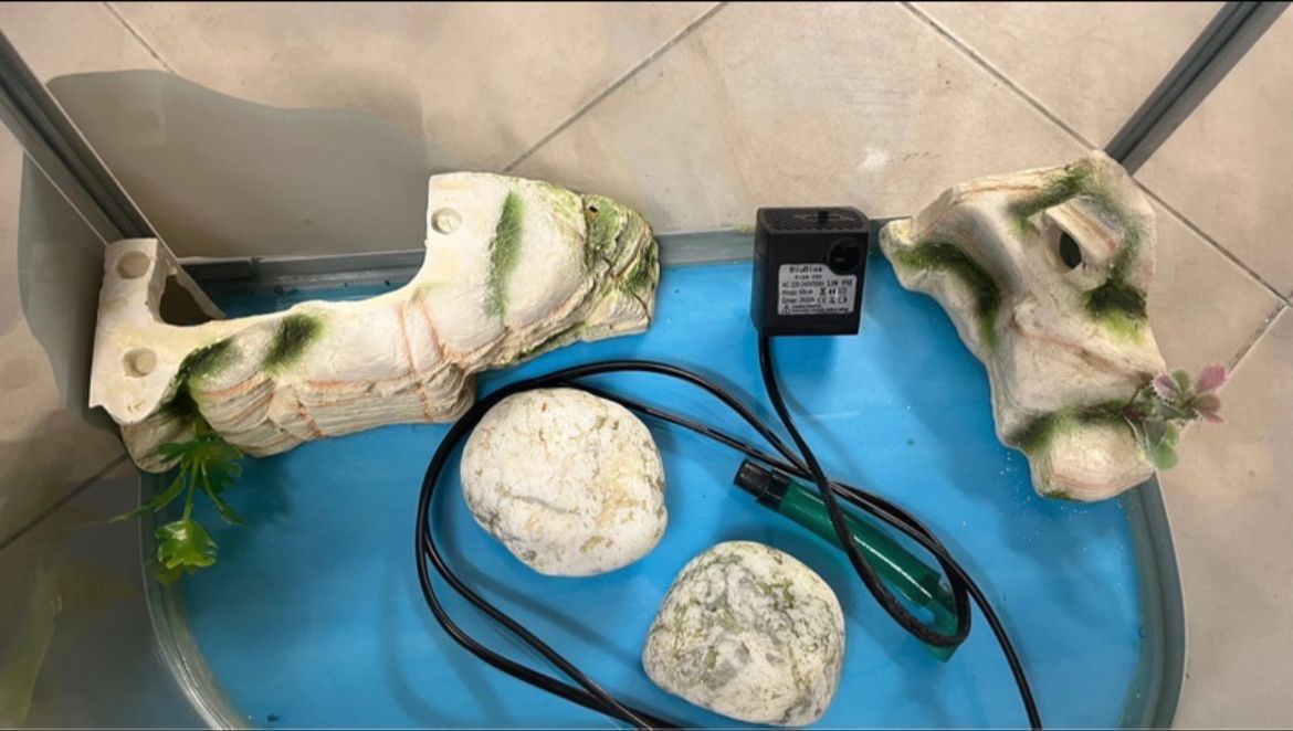 Acquari: Vasca tartarughe d’acqua  – Usato da Sagno venduto da pat_rfp8 2