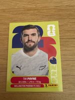 Carte panini 2026