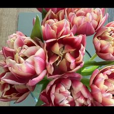 Profile image of Flower_007