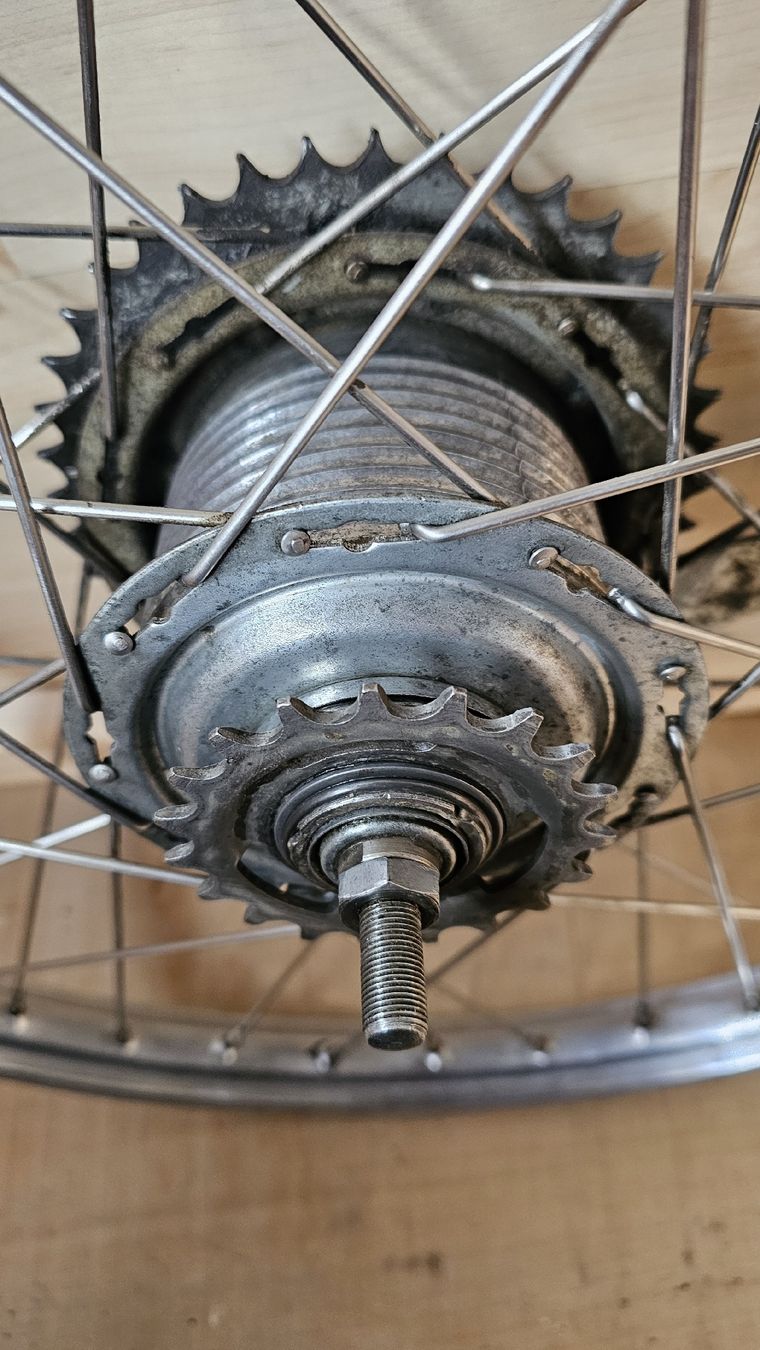 Sachs Mofas: Weinmann Rücktrittrad 19 Zoll – Gebraucht aus Stalden (Sarnen) von SACHS_85 4