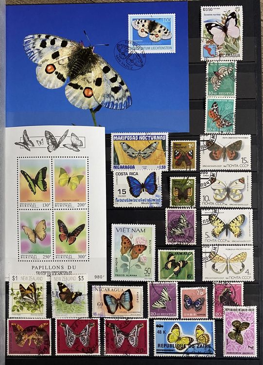 TIMBRES SUR LES Papillons - Série de timbres neufs ** de Paraguay EUR 1,00 - FR