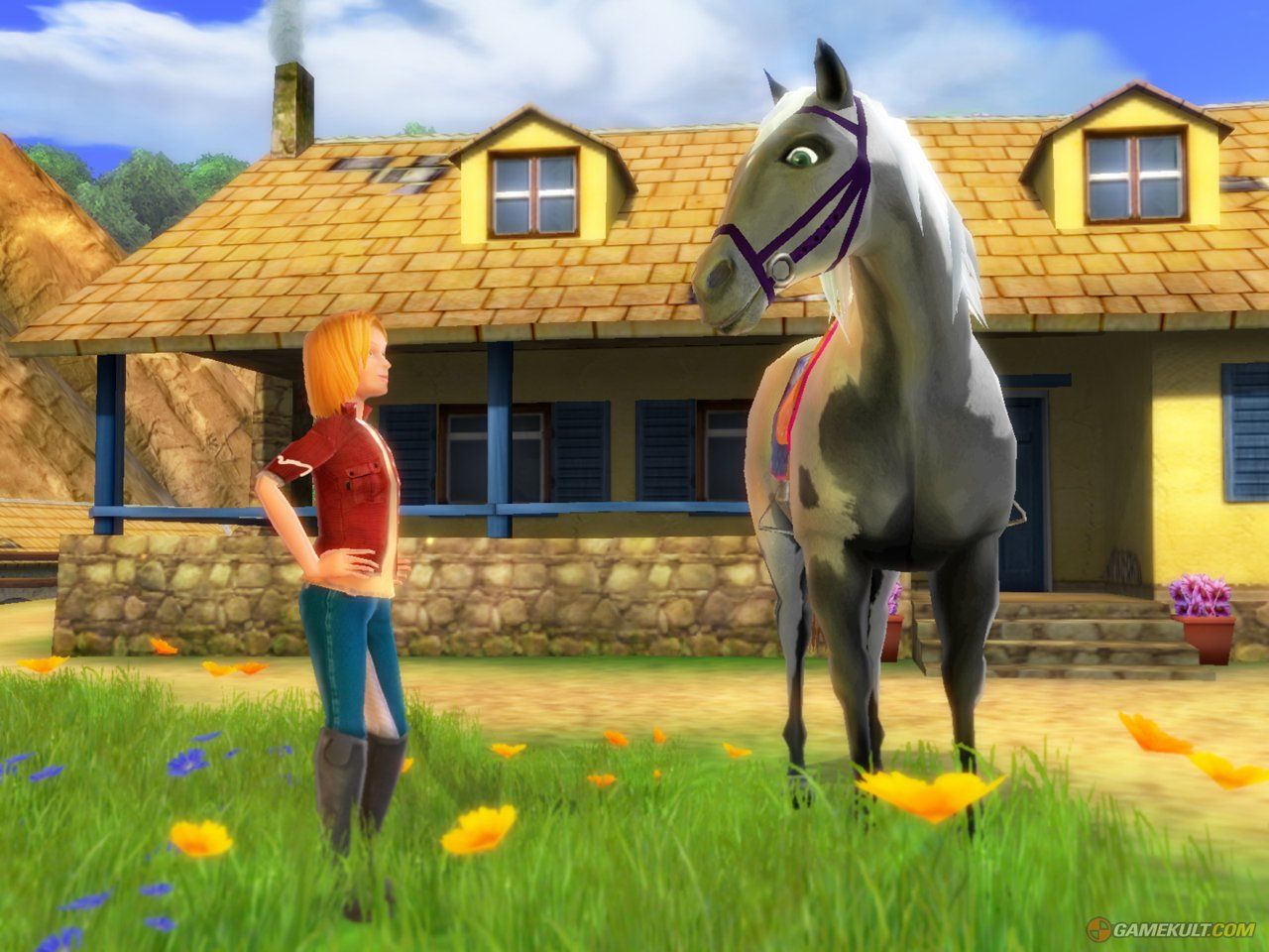 Nintendo Giochi: DS Grand Galop  / en français – Usato da Schüpfheim venduto da Game-Paradis 5