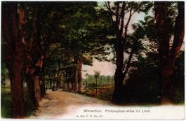 ZH 143 WINTERTHUR Philosophen-Allee im Lindt 1907