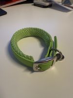 Neuwertiges, hellgrünes Hundehalsband, gepolstert