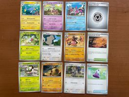 Pokemon 12er Karten Set (Versand gratis)