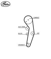 GATES FleetRunner Micro-V® Stretch Fit® 5569XS Zahnriemen