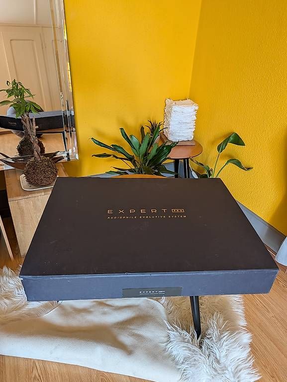 Devialet Verstärker: Devialet expert 220 pro (Core infinity) – Gebraucht aus Yvonand von Virgoraph31 1