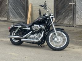 Harley Davidson XL883L frisch geprüft