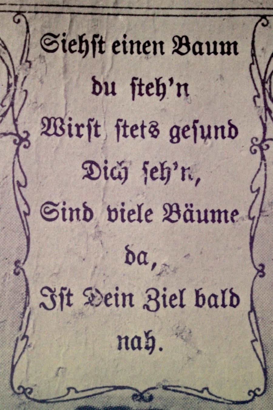 Tutti i francobolli: FRANZ EGGENSCHWILER (Schweiz, 1920-2000) Siehst einen Baum – Usato da Bern venduto da Arting 5