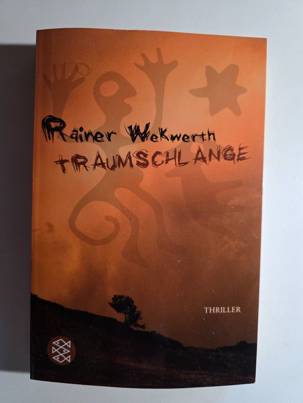 Libri: Rainer Wekwerth - Traumschlange - Roman 2004 – Usato da Walterswil BE venduto da Lonitti