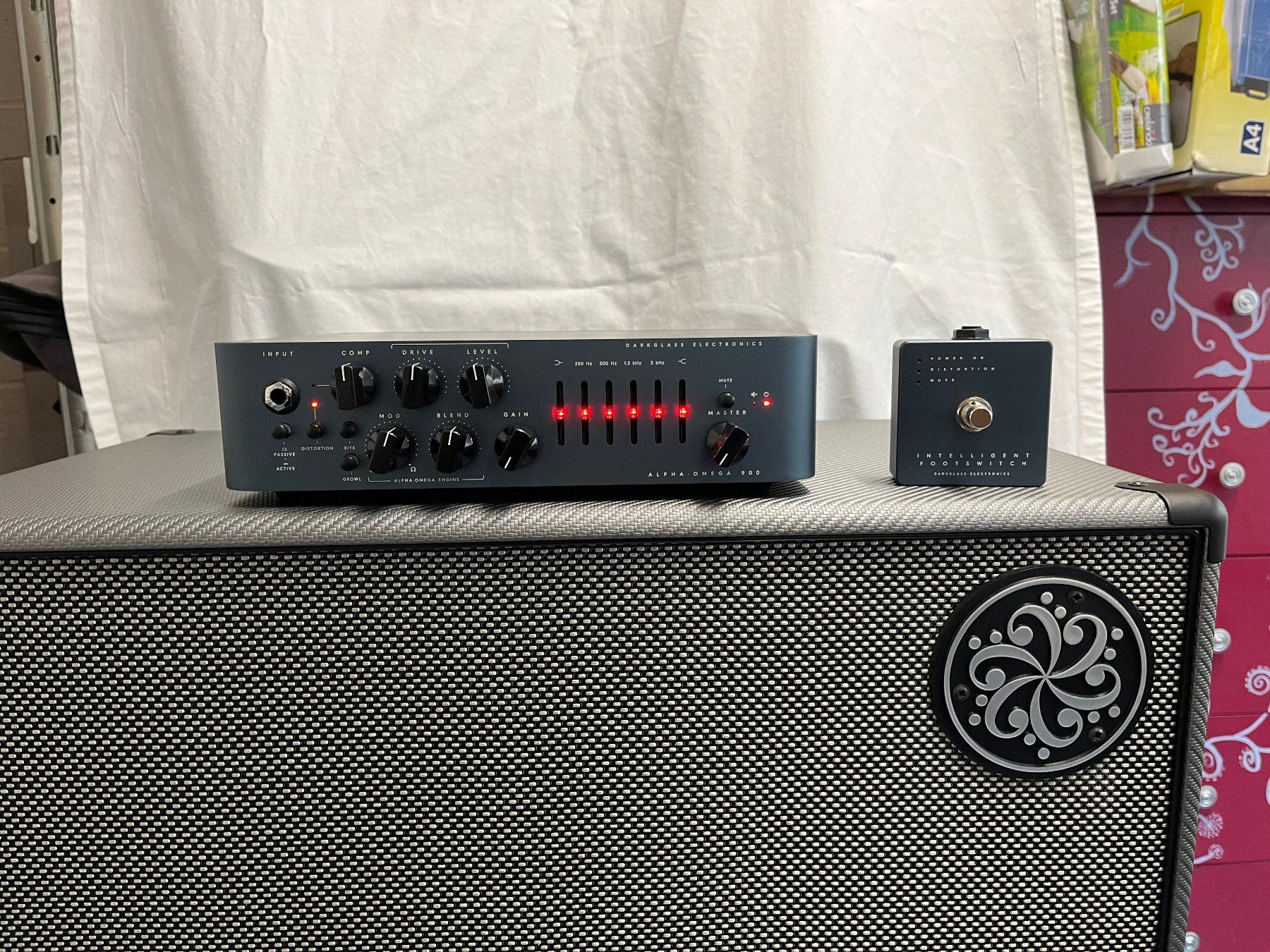 Amplificatori: Ampli et baffles Darkglass – Usato da Payerne venduto da pickguard 2