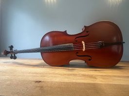 Violoncello 4/4 Cello ohne Etikett, Herkunft Zentraleuropa