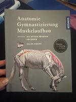 Anatomie Gymnastizierung Muskelaufbau Buch Zustand Gut