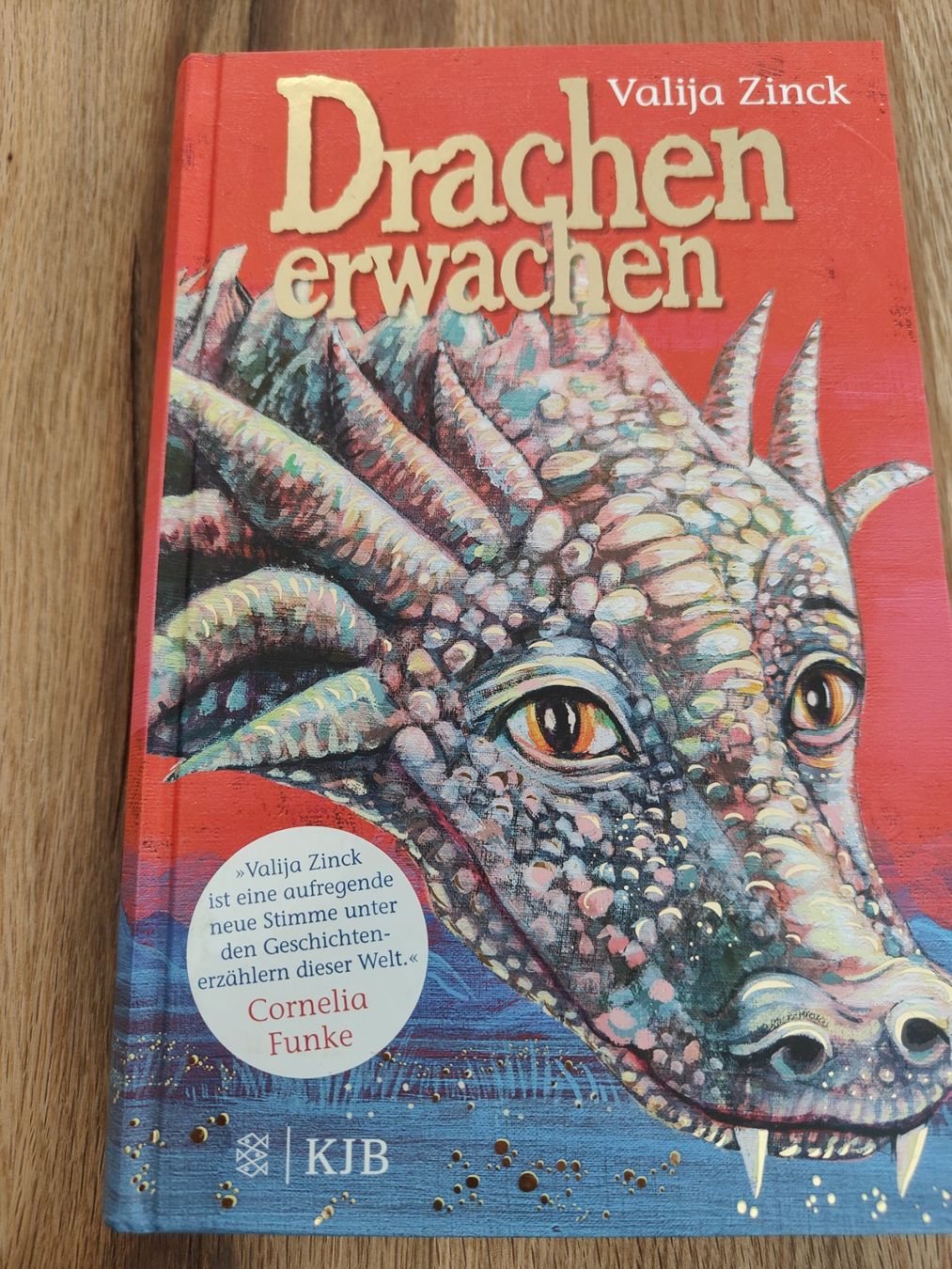 Bücher: Buch Drachen erwachen – Neu (gemäss Beschreibung) aus Möriken AG von Tigerente12