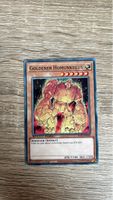 Yu-Gi-Oh! Karte - SGX3-DEF02 - Goldener Homunkulus