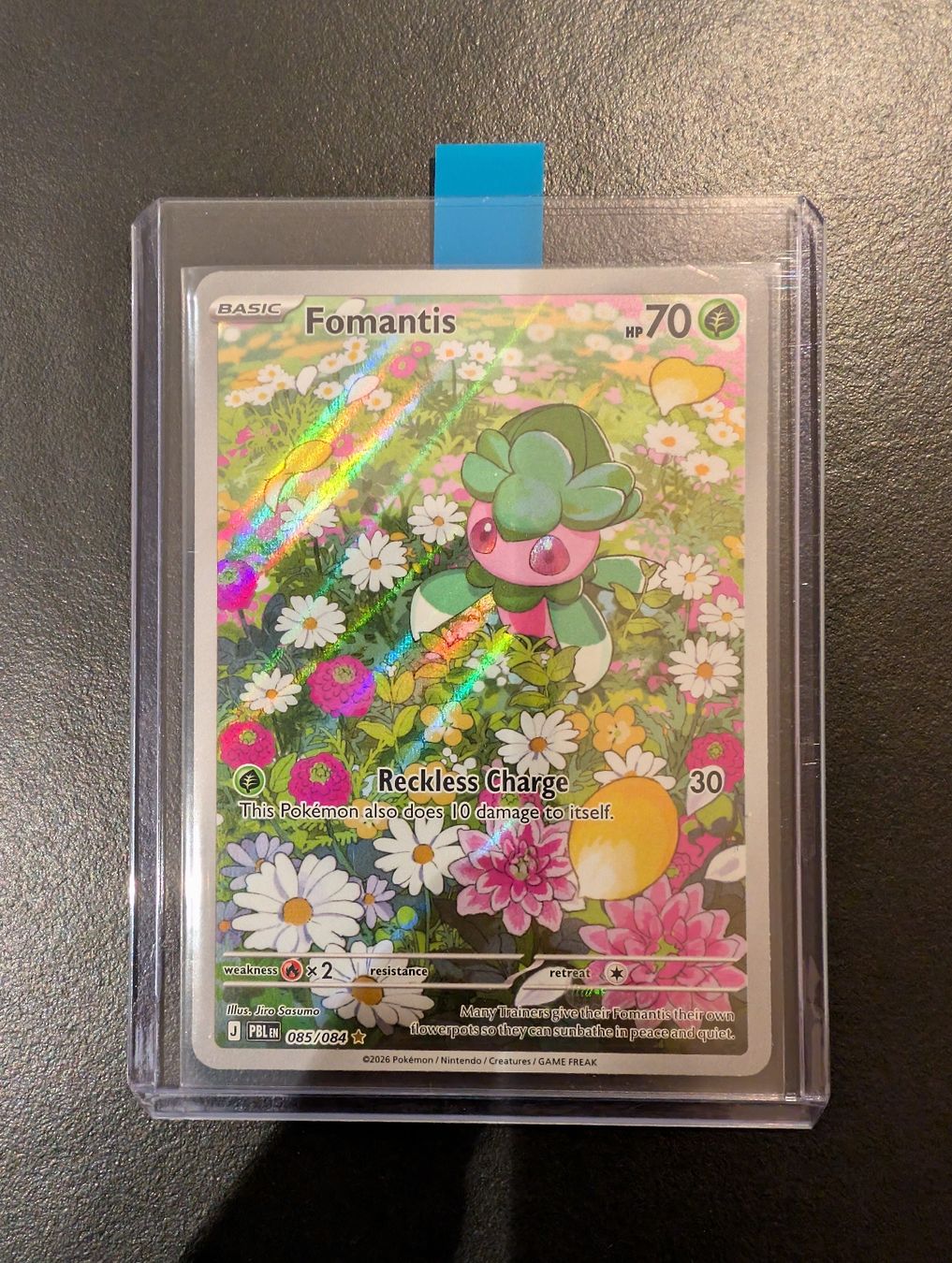 Pokémon Carte collezionabili: Fomantis PBL EN 085/084 – Nuovo (secondo la descrizione) da sugiez venduto da Svicente