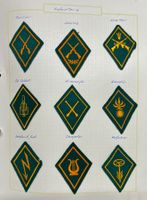 Armée badge abzeichen miroire Kragenspiegel uniforme
