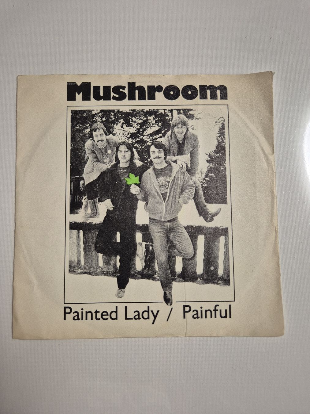 Dischi in vinile: Mushroom  - Painted Lady / Painful - Single 7 , CH – Nuovo (secondo la descrizione) da Uster venduto da newwave0