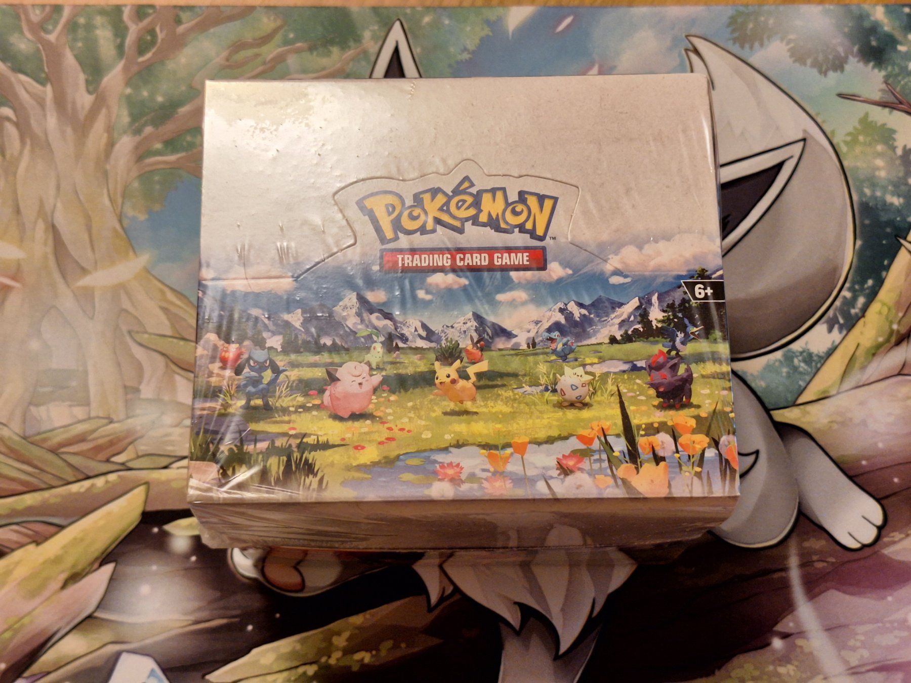Pokémon Sammelbilder & Trading cards: Pokemon Ascended Heroes Tin Display Sealed – Neu und originalverpackt aus Küsnacht ZH von nichuu 1